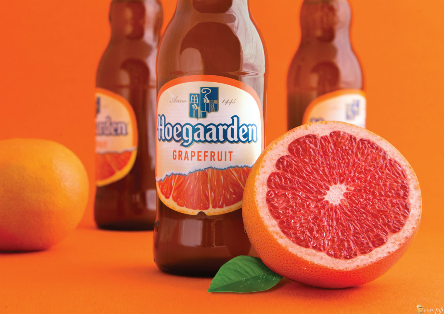 Hoegaarden Grapefruit (Клон Пива) | Рецепт напитка от rexfoxxx